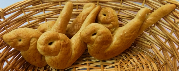 Palmvögel